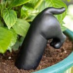 Cómo regar las plantas en vacaciones: 4 trucos infalibles