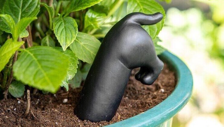 Cómo regar las plantas en vacaciones: 4 trucos infalibles